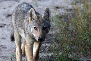 Foto &copy; Theo Grüntjens